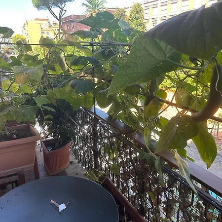 Bed & Breakfast La Fontana Di Carlotta
