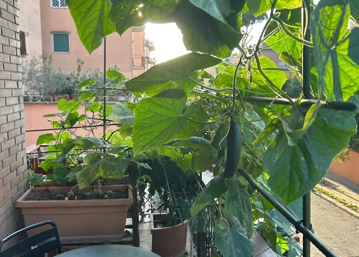 La Fontana Di Carlotta 4*