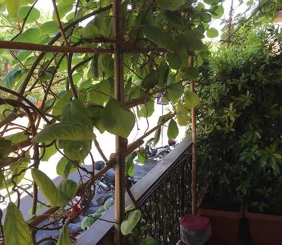 La Fontana Di Carlotta Bed and breakfast Roma