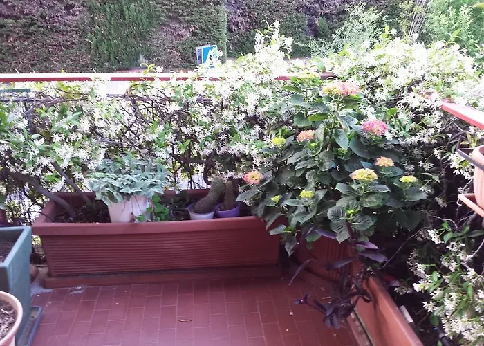 La Fontana Di Carlotta 4* Roma